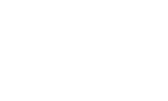 Synapse Chiropractic Office in Rocklin Logo
